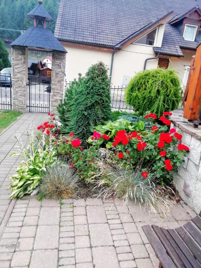 Apartmány Petronela Makov Esterno foto